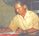 The idea of ​​dike of an amateur author