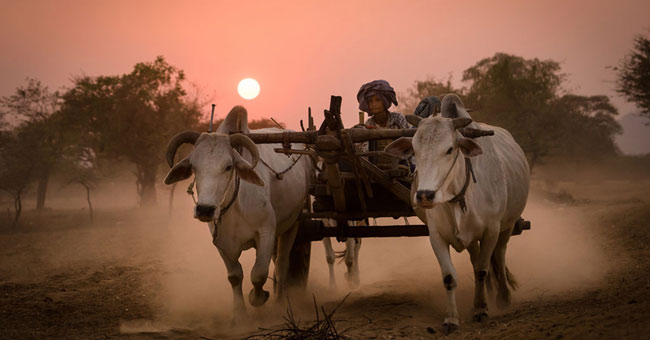 The idyllic beauty of Vietnam in Southeast Asia