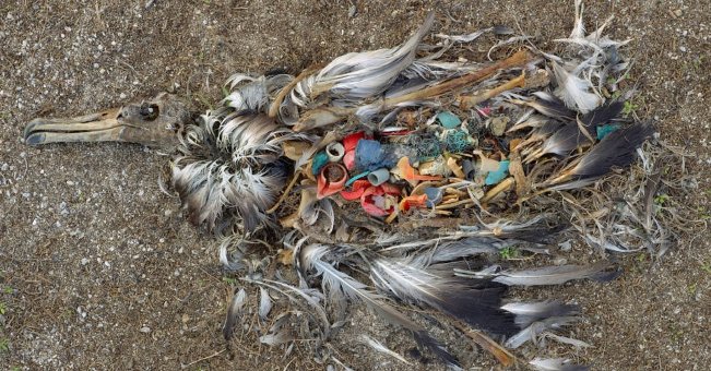 The image of the terrible environmental destruction in the world