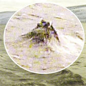 The image resembles the Loch Ness monster head