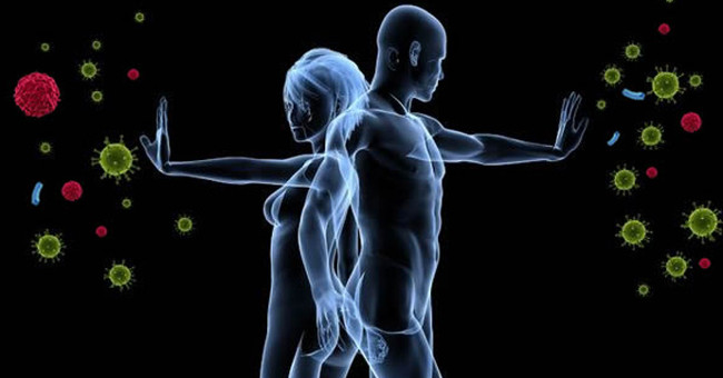 The immune system becomes the same when we are together