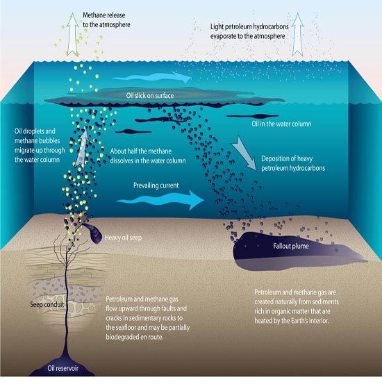 The incredible amount of oil leaks into the sea