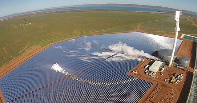 The 'incredible' farm uses sun and sea water to produce 17,000 tons of tomatoes a year