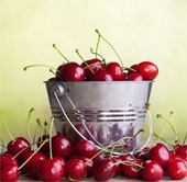 The indispensable benefit of cherry fruit