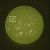 The IRIS detected the translucent material around the sun