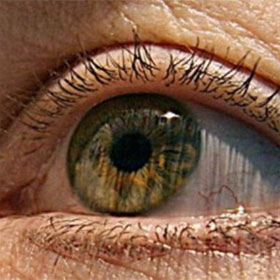 The iris scanning device replaces the traditional password