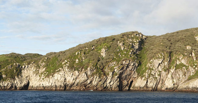 The island is located near the Antarctic of New Zealand