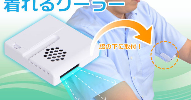 The Japanese have a solution to the delicate problem of