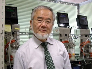 The Kyoto Prize worth $ 1.8 million was divided into three