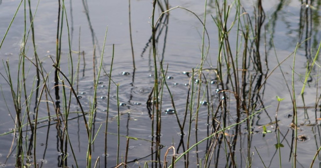 The lake is bubbling, burning in the Arctic