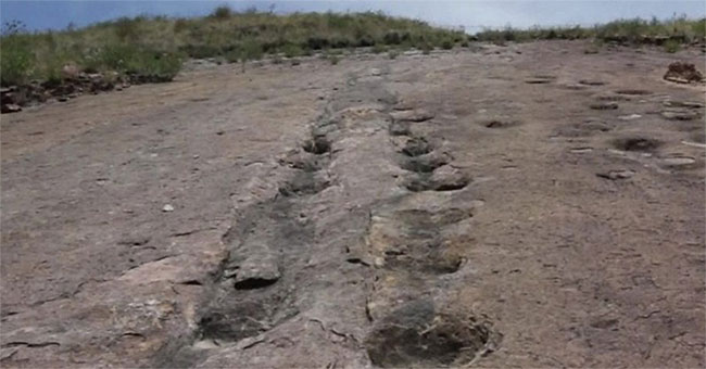 The land kept thousands of dinosaur footprints for 80 million years