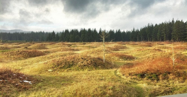 The land suddenly grew to thousands of graves that caused scientists a headache
