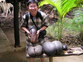 The largest (and most exotic) seed in the world