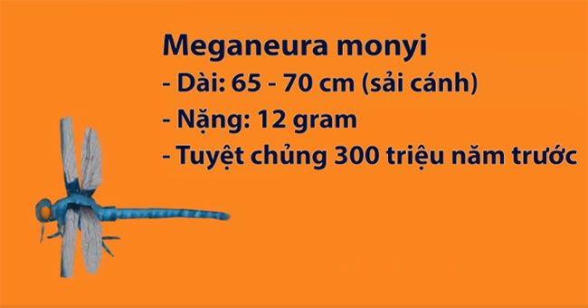 The largest animals are extinct