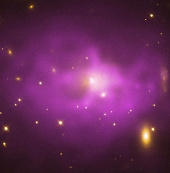 The largest black holes in the universe