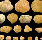 The largest collective pit of the planet
