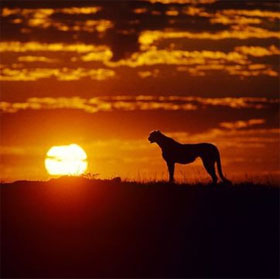 The largest desert - desert in the world (2)