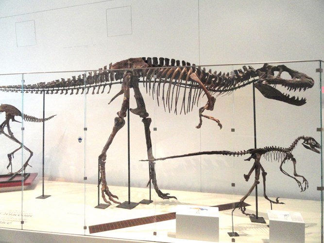 The largest dinosaur mecca in the world
