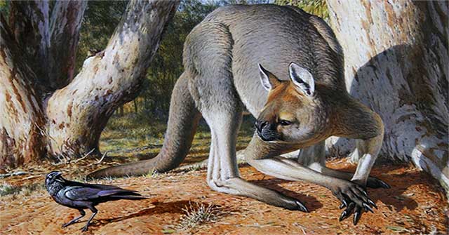 The largest marsupial species ever existed on Earth