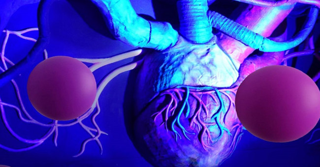 The largest part of the body, never known in the human body