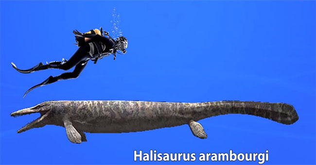 The largest species of prehistoric linghas
