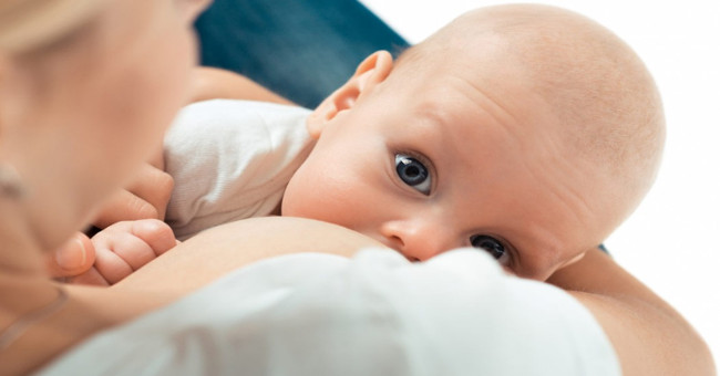 The link between human milk and wild animal milk