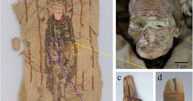 The lipstick made from 3600 year old animal heart buried with mummy