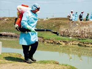 The localities organized environmental sanitation for influenza A / H5N1