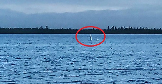 The long-necked creature resembles the Loch Ness monster in Russia