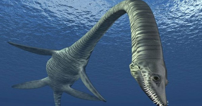 The long-necked sea monster in the UK may be a new dinosaur