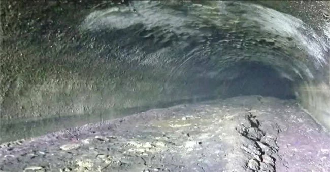 The lump of fat over 30 meters long blocked the United States