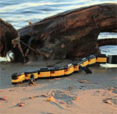 The machine is capable of swimming and crawling