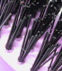 The 'magic' brush of objects becomes invisible