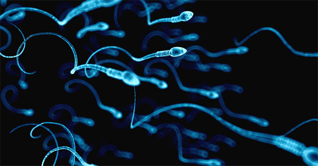 The main culprit causes sperm deformities