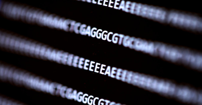 The malicious code attached to the DNA infects the computer itself