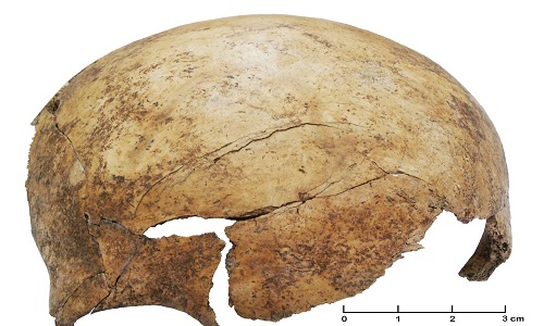 The mass grave of 7,000 years revealed a bloody massacre