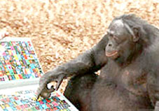 The 'masters' communicate in the animal world
