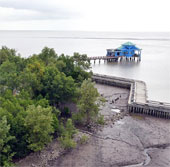 The Mekong Delta risks being submerged under the sea