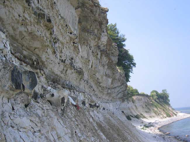 The meteorite that has become extinct only affects algae for a short time