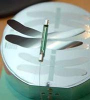 The mini-spy plane simulates the dragonflies