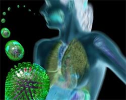 The Ministry of Health recommends less regulation to avoid spreading the flu