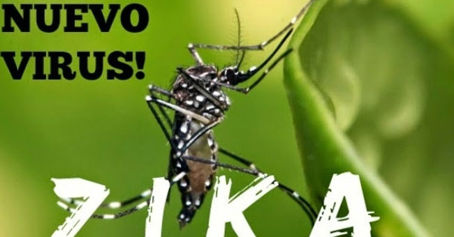 The Ministry of Health warns against mosquito-borne viruses transmitted by mosquitoes in Vietnam