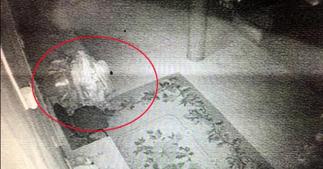 The monks doubting the monk's hundred-year-old mummy had signs of revival and travel