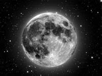The moon also has a liquid-like core like the Earth