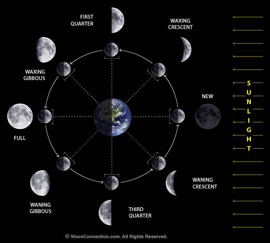 The moon is separated from Earth?