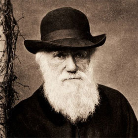 The more beard grows, the less attractive men are