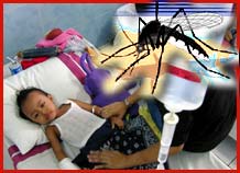 The mosquito flu epidemic is raging in Reunion Island
