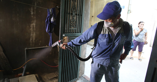 The mosquitoes transmit dengue fever dense in Hanoi
