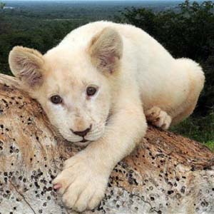 The most beautiful animal photos of the past week