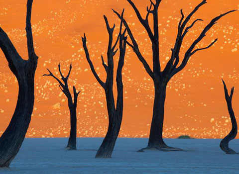 The most beautiful nature photo in May